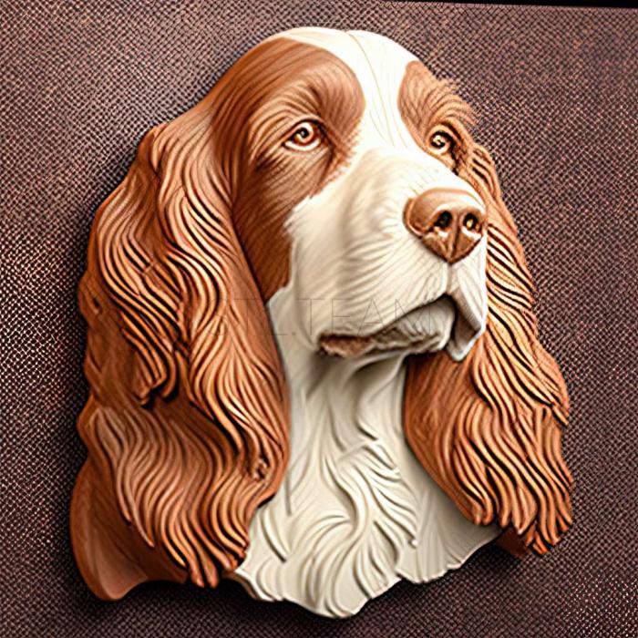 Animals Welsh Springer Spaniel dog